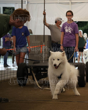 SCA2023_NOVICE WP-268