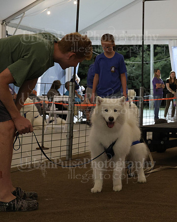 SCA2023_NOVICE WP-269