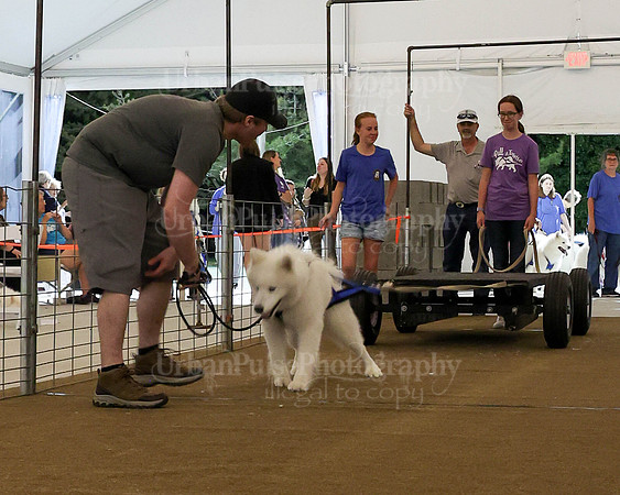 SCA2023_NOVICE WP-273