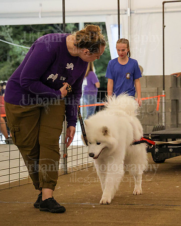 SCA2023_NOVICE WP-279