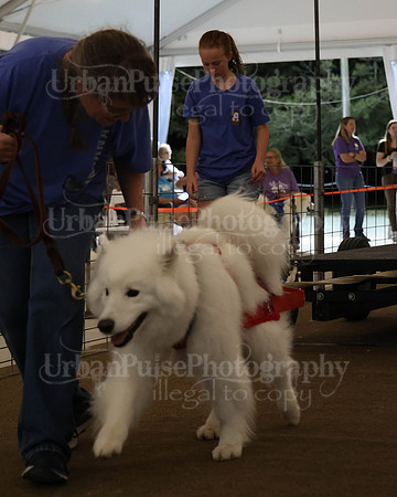 SCA2023_NOVICE WP-284