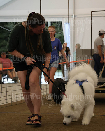 SCA2023_NOVICE WP-286