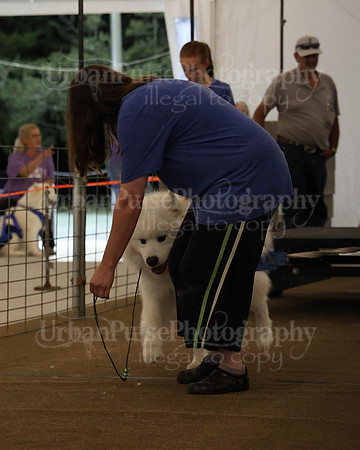 SCA2023_NOVICE WP-289