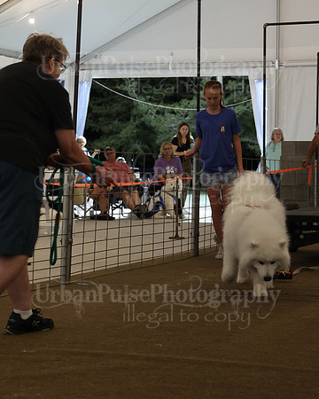 SCA2023_NOVICE WP-294