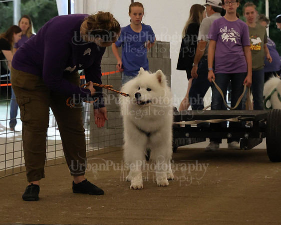 SCA2023_NOVICE WP-306