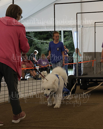 SCA2023_NOVICE WP-315