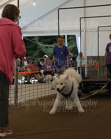 SCA2023_NOVICE WP-316