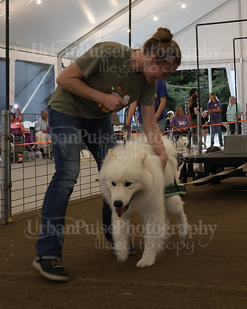 SCA2023_NOVICE WP-323