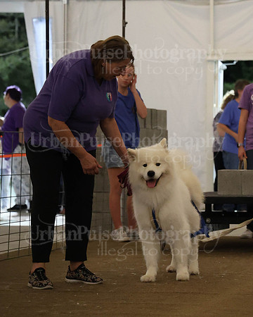 SCA2023_NOVICE WP-329