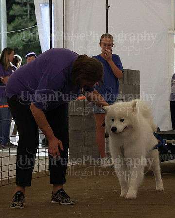 SCA2023_NOVICE WP-332