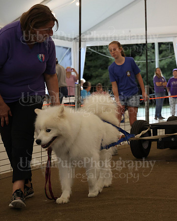 SCA2023_NOVICE WP-336