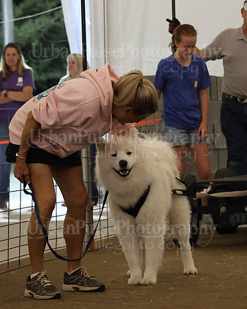 SCA2023_NOVICE WP-344