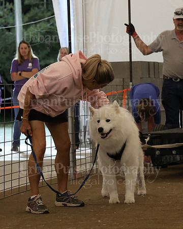 SCA2023_NOVICE WP-345
