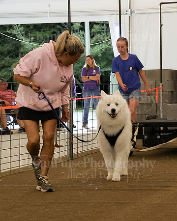 SCA2023_NOVICE WP-347