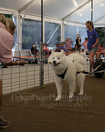 SCA2023_NOVICE WP-349