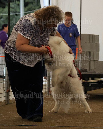 SCA2023_NOVICE WP-358