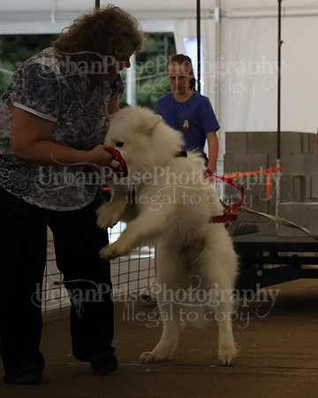 SCA2023_NOVICE WP-359