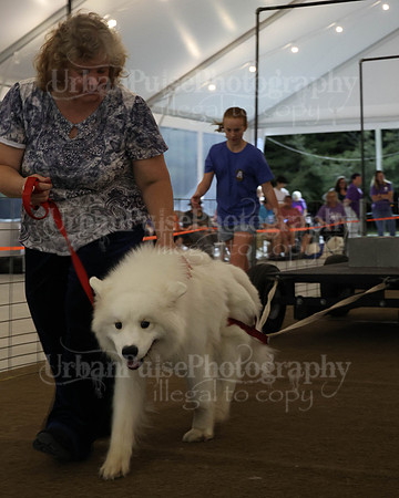 SCA2023_NOVICE WP-361