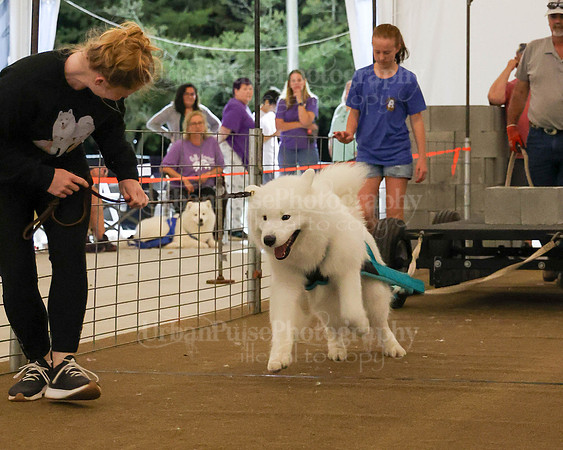 SCA2023_NOVICE WP-367