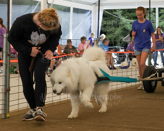 SCA2023_NOVICE WP-368