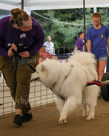 SCA2023_NOVICE WP-396