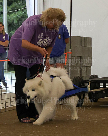 SCA2023_NOVICE WP-419