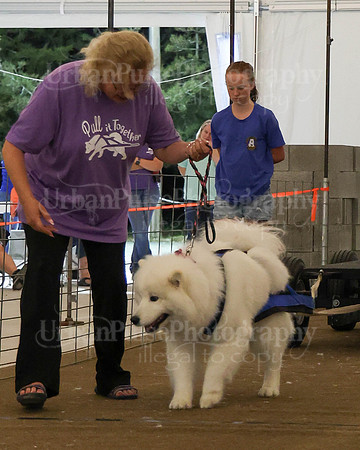 SCA2023_NOVICE WP-421