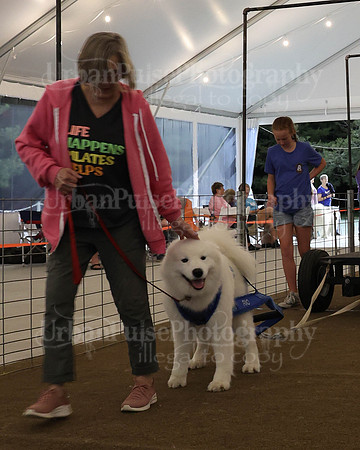 SCA2023_NOVICE WP-437