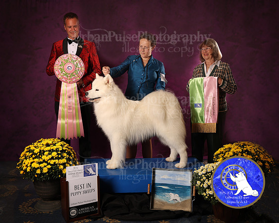 SCA2023_P SWPS_AWARD_1407
