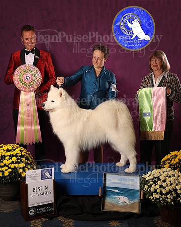 SCA2023_P SWPS_AWARD_1408