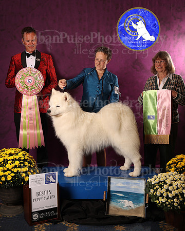 SCA2023_P SWPS_AWARD_1410