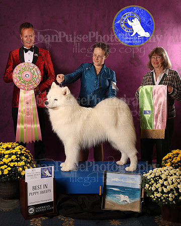 SCA2023_P SWPS_AWARD_1409