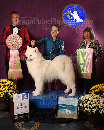 SCA2023_P SWPS_AWARD_1411