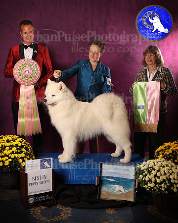 SCA2023_P SWPS_AWARD_1412