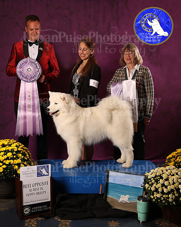 SCA2023_P SWPS_AWARD_1415