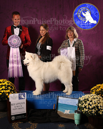 SCA2023_P SWPS_AWARD_1416