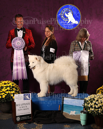 SCA2023_P SWPS_AWARD_1422