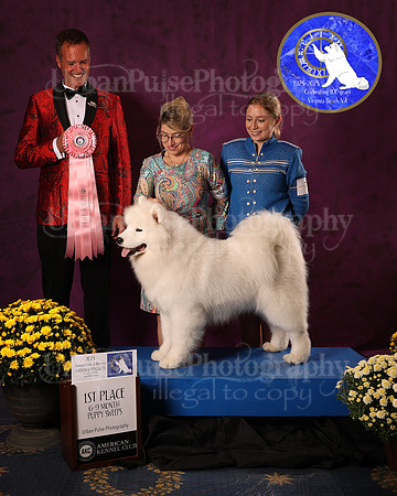SCA2023_P SWPS_AWARD_1424