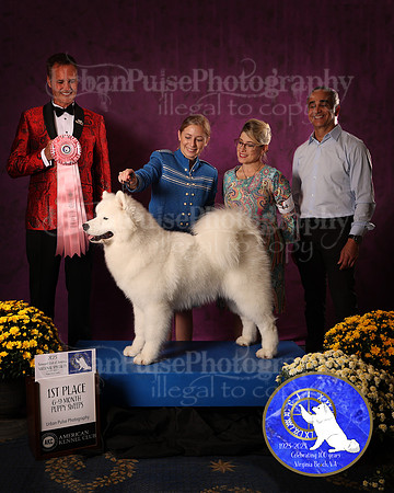 SCA2023_P SWPS_AWARD_1429