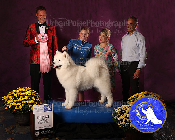 SCA2023_P SWPS_AWARD_1431