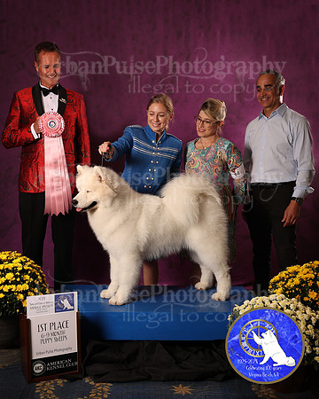SCA2023_P SWPS_AWARD_1430