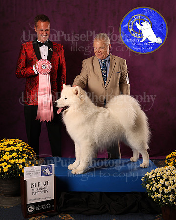 SCA2023_P SWPS_AWARD_1433