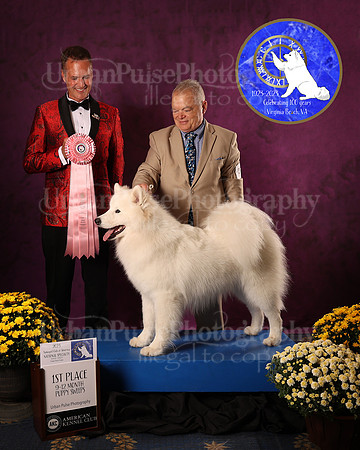 SCA2023_P SWPS_AWARD_1437