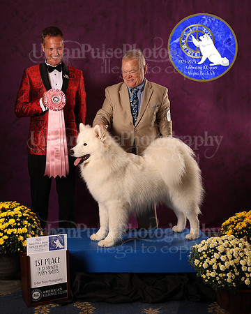 SCA2023_P SWPS_AWARD_1438
