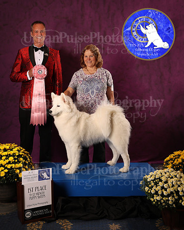 SCA2023_P SWPS_AWARD_1439