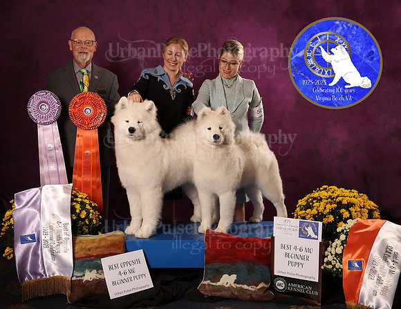 SCA2023_4-6 MO_AWARD_6034