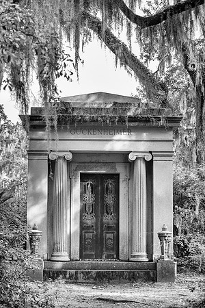 Savannah_9824