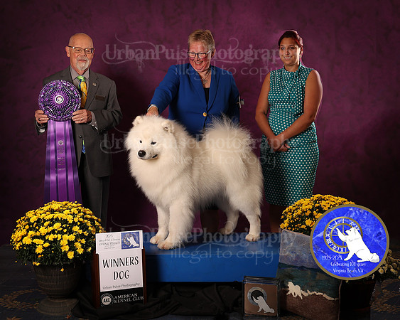 SCA2023_D_AWARD_4637