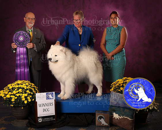 SCA2023_D_AWARD_4638