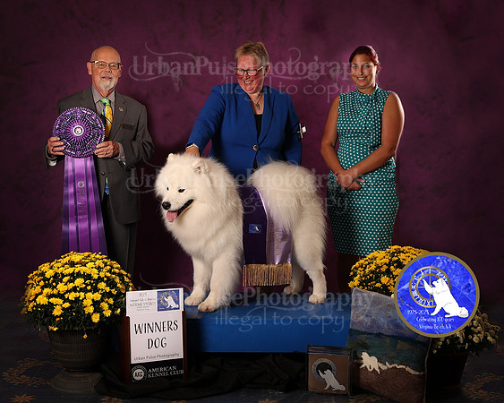 SCA2023_D_AWARD_4642